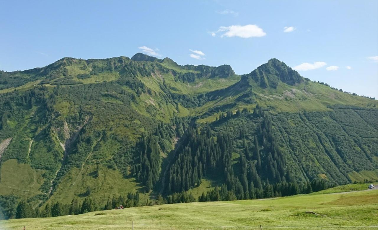 Отель Haus Furka Дамульс Экстерьер фото